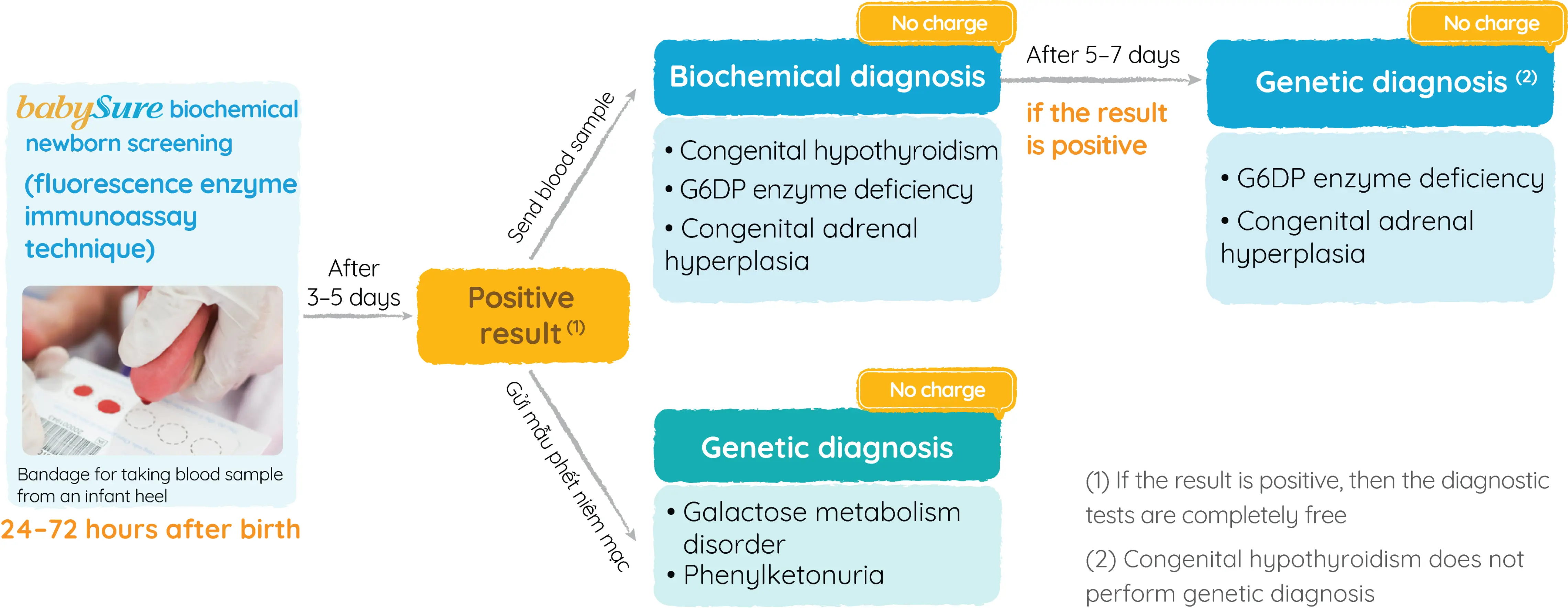 Screening to diagnostic procedure